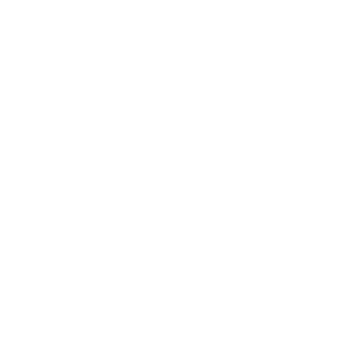 Boards and Swords Hobbies